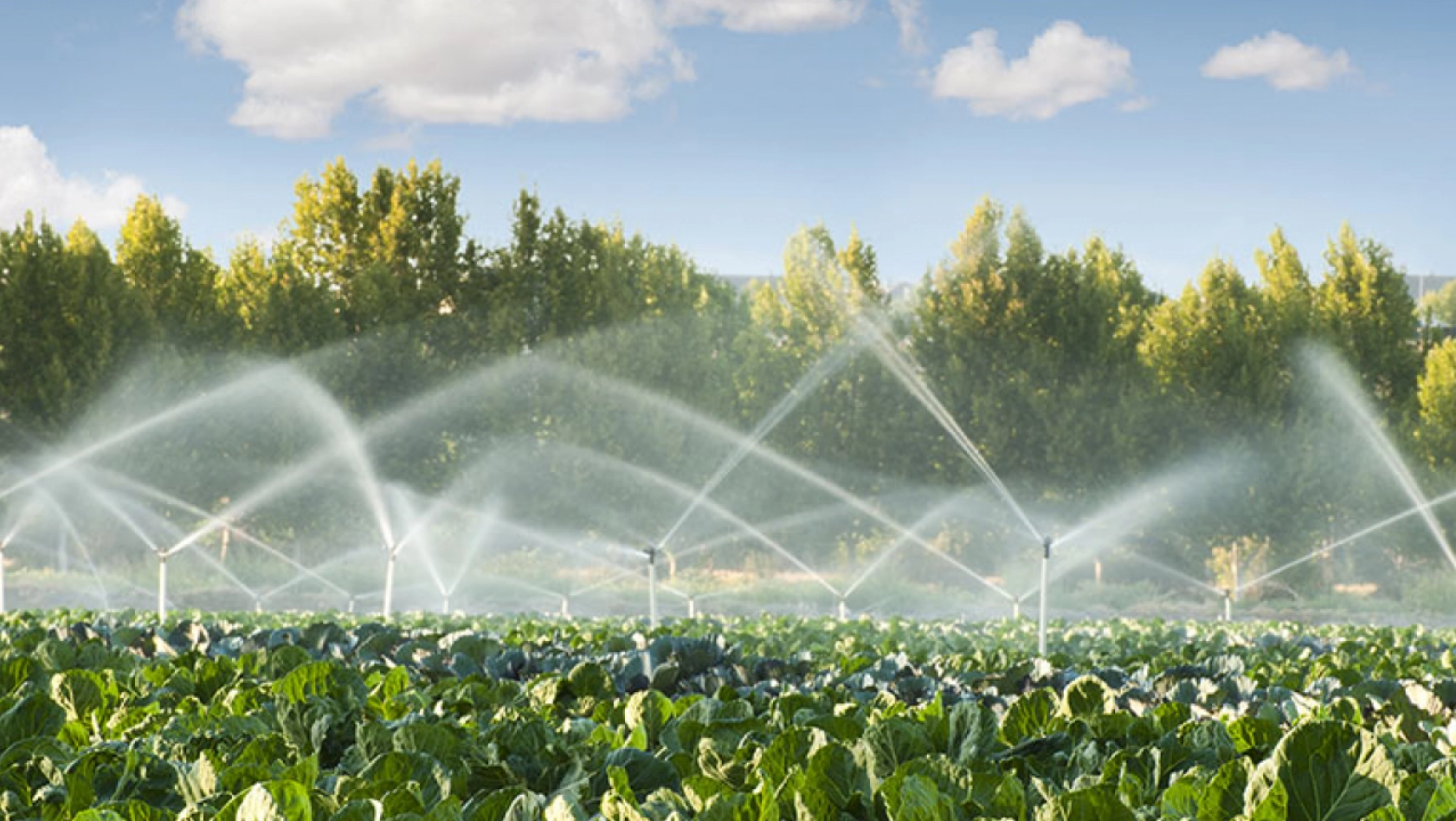 Tarımsal su kullanım hizmet bedelleri yüzde 50 desteklenecek