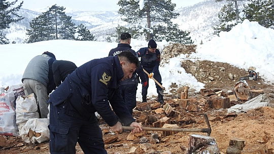 Odunlar Toroslar'dan deprem bölgelerine gönderildi
