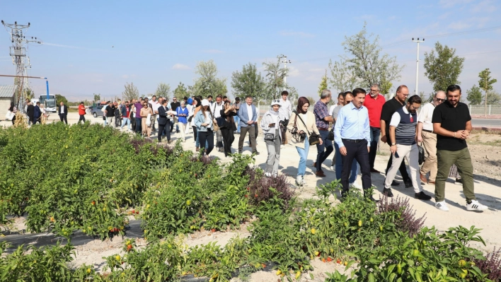 Karatay Ata Tohumu Projesi, kırsal kalkınmaya ve tarımsal üretime katkı sağlıyor