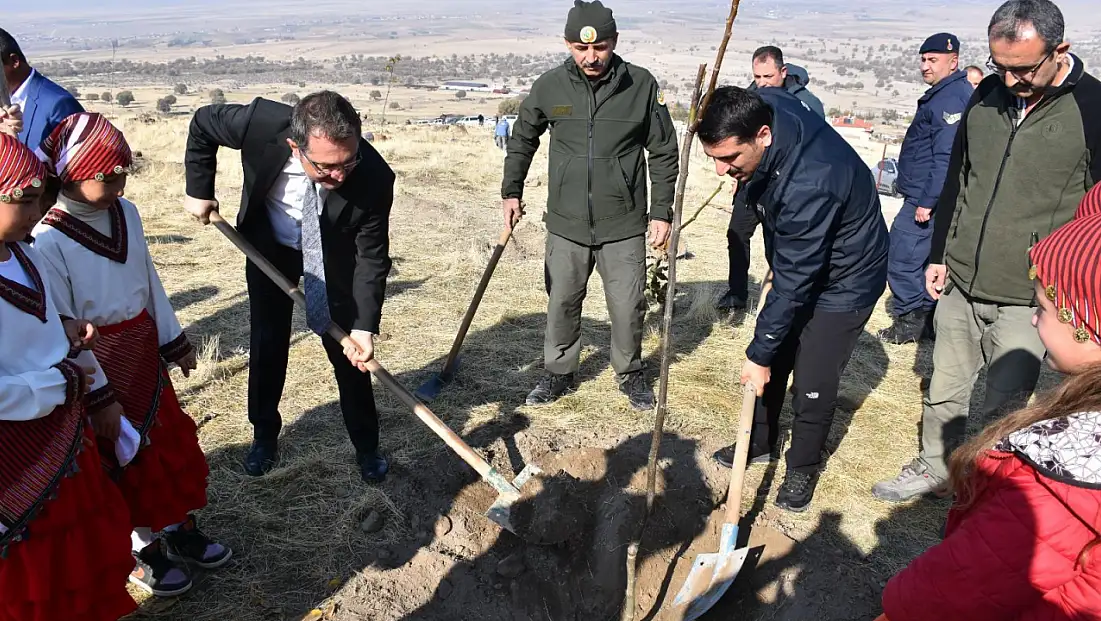 Karapınar Yeşilyurt’ta 500 adet ceviz fidanlığı oluşturuldu