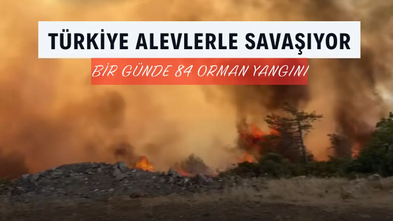 Türkiye'de Kara Gün: Bir Günde 84 Orman Yangını Çıktı