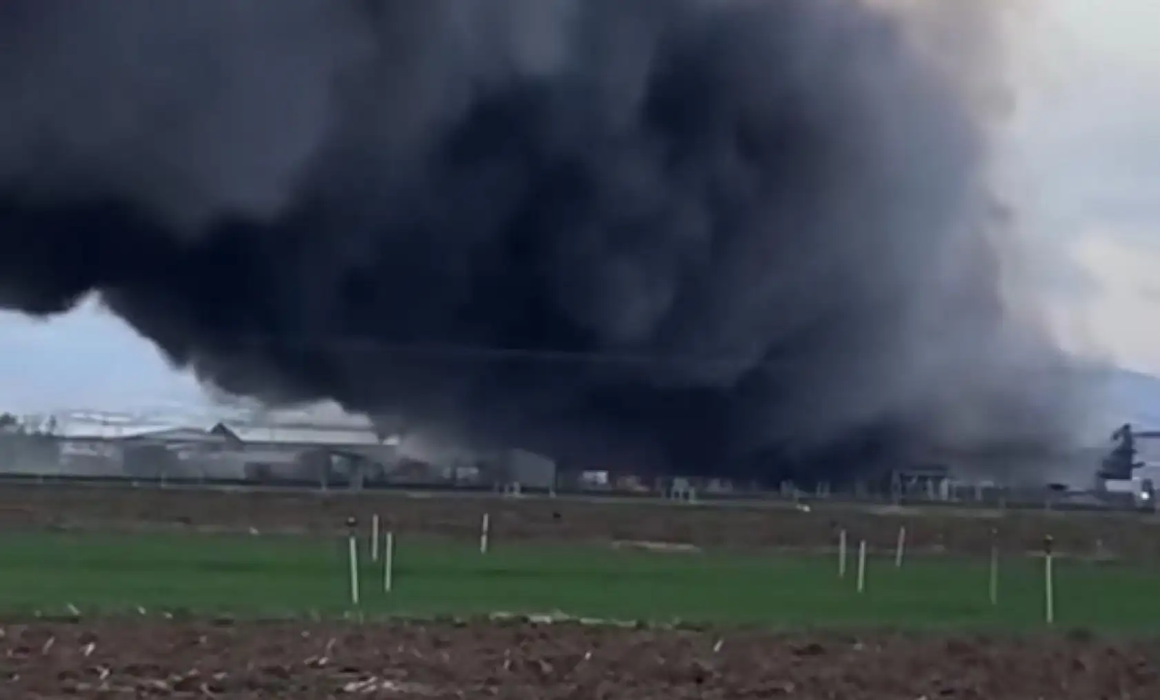 Konya'da tavuk çiftliğinde yangın! Ekipler seferber oldu