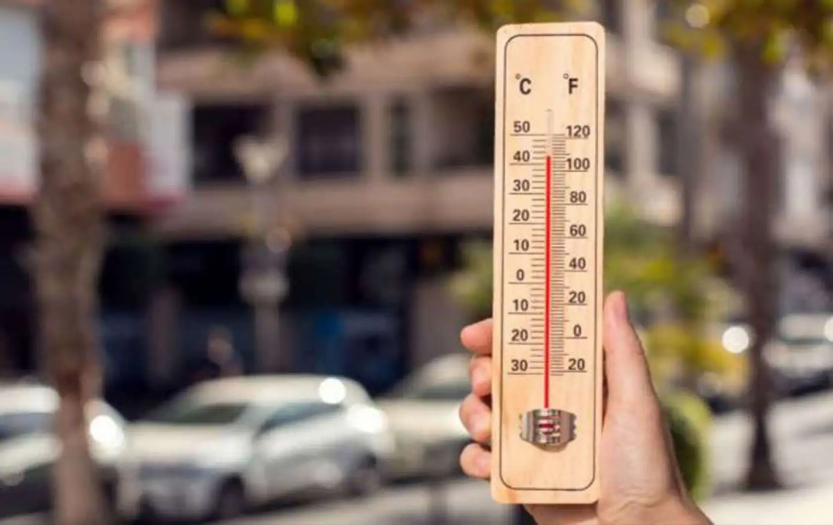 Konya için uyarı geldi! Bu tarihte rekor sıcaklıklar görülecek