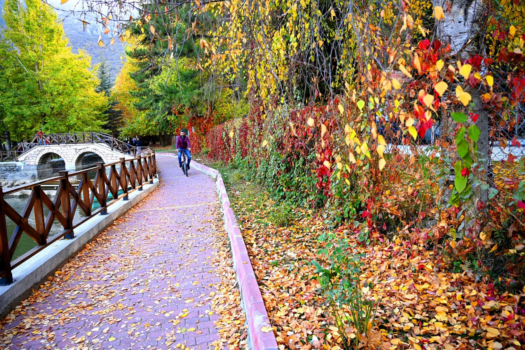 Konya'da kaç seçmen var? Seçmen sayısı açıklandı