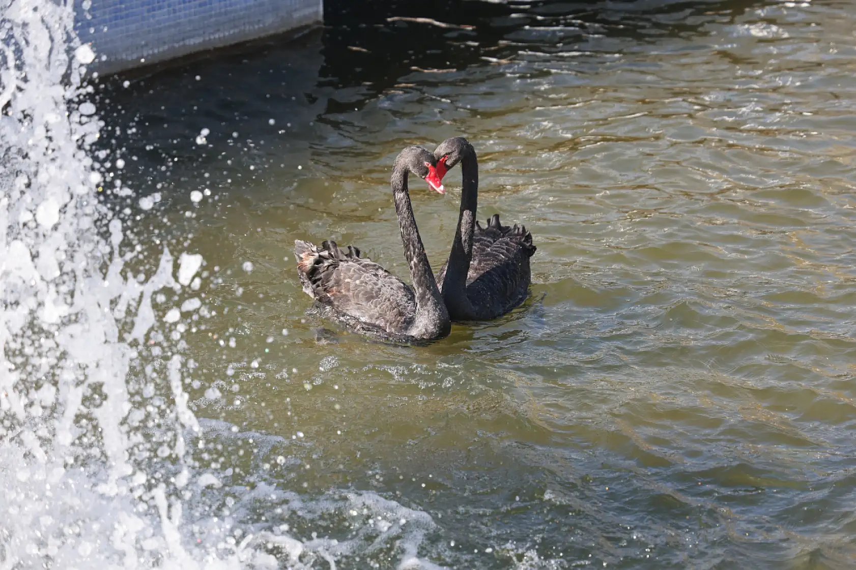 Konya'da Şubat Ortasında Bahar Havası: Vatandaşlar Güneşin Tadını Çıkardı