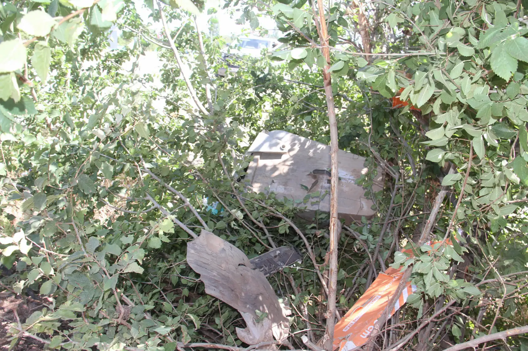 Beyşehir-Antalya Yolunda Feci Kaza: Önce Ağaca Sonra Direğe Çarpan Araçta 5 Kişi Yaralandı, 1'i Ağır