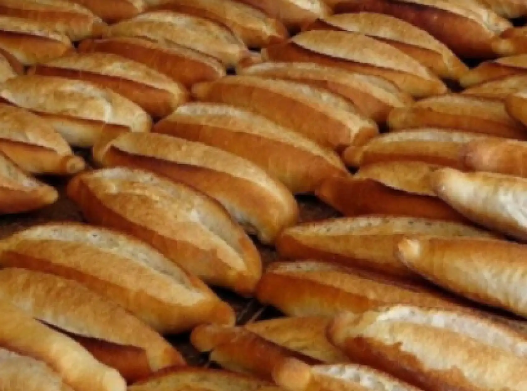 Konya'daki o ilçede ekmeğe zam!