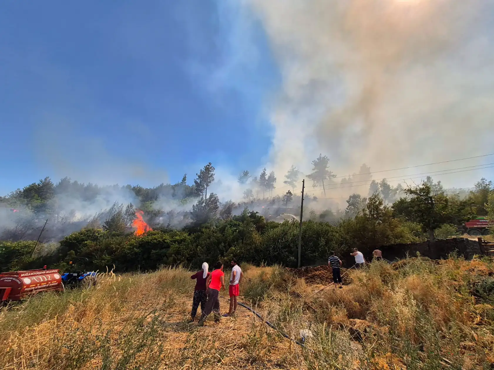 Türkiye'de Kara Gün: Bir Günde 84 Orman Yangını Çıktı