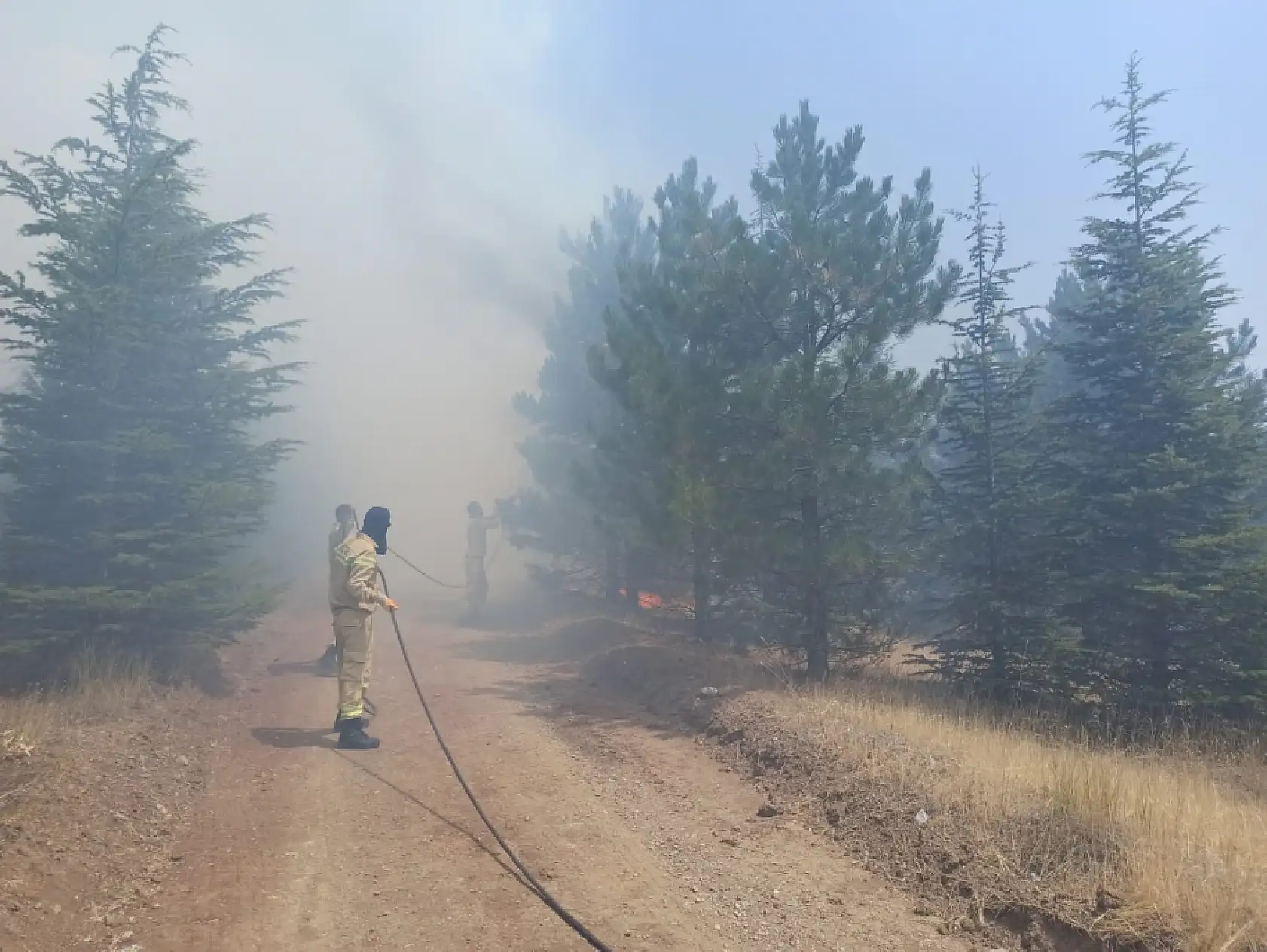 Türkiye'de Kara Gün: Bir Günde 84 Orman Yangını Çıktı