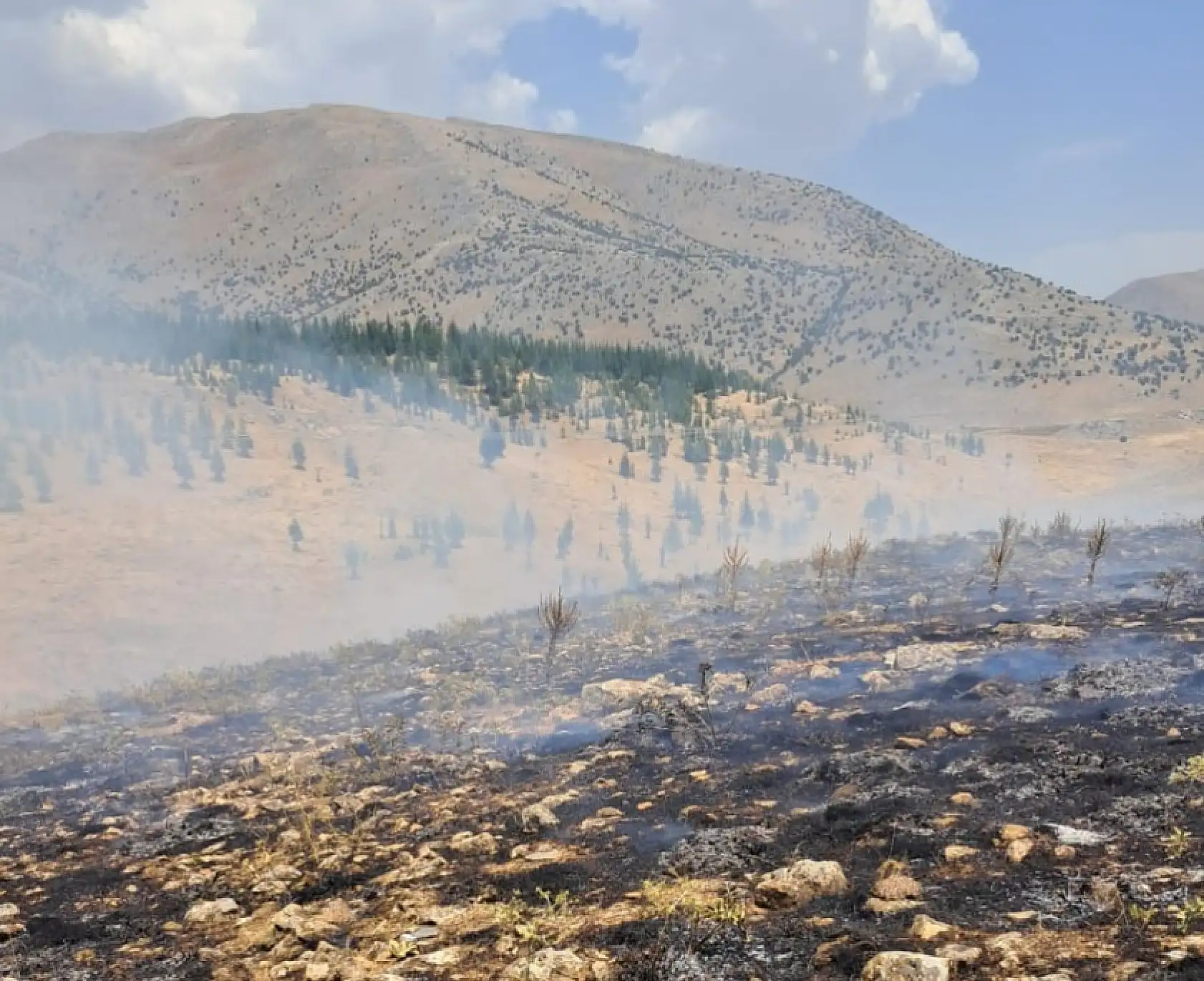 Türkiye'de Kara Gün: Bir Günde 84 Orman Yangını Çıktı