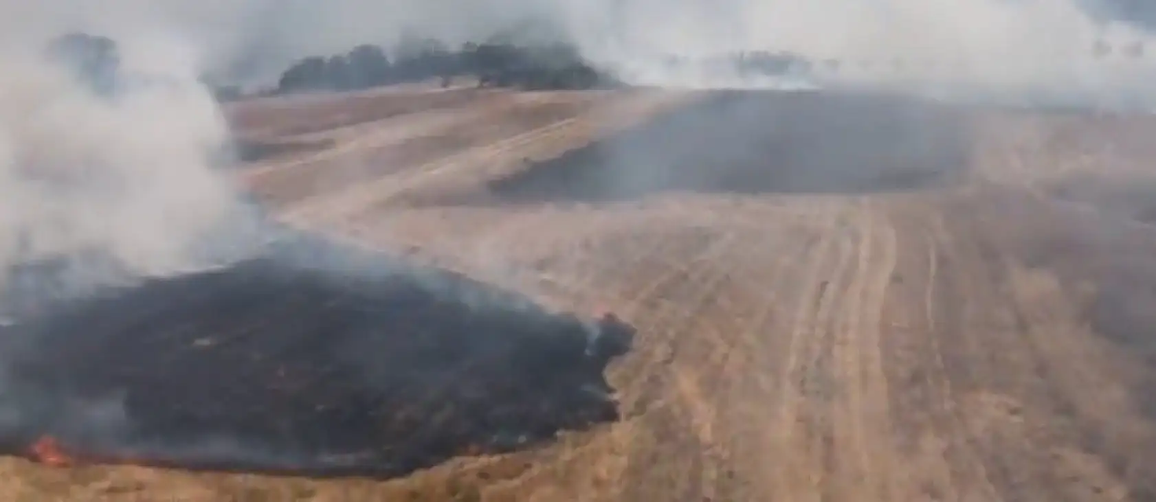 Türkiye'de Kara Gün: Bir Günde 84 Orman Yangını Çıktı