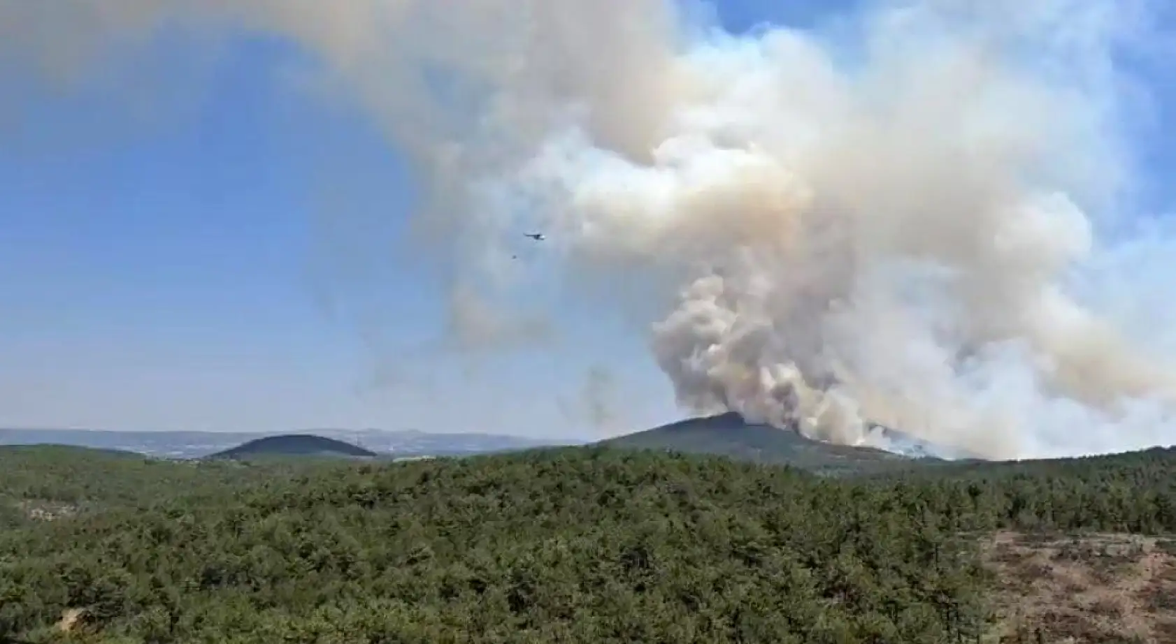Türkiye'de Kara Gün: Bir Günde 84 Orman Yangını Çıktı