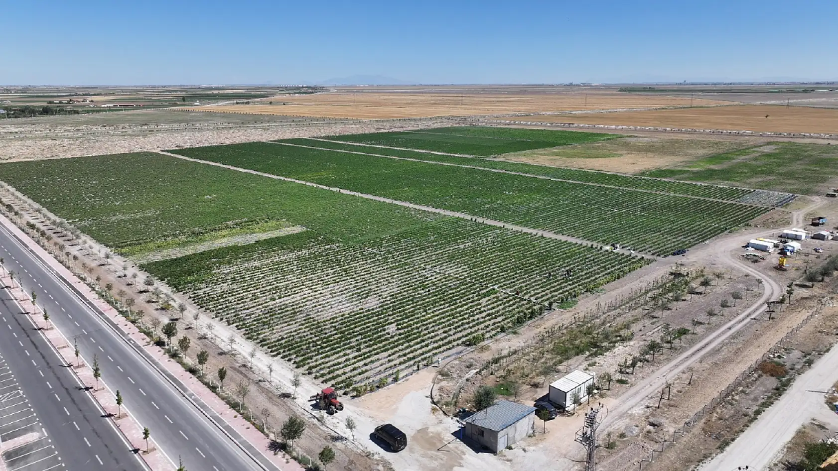 Karatay'da hasadı başladı! Binlerce yıllık geçmişi olduğu söyleniyor