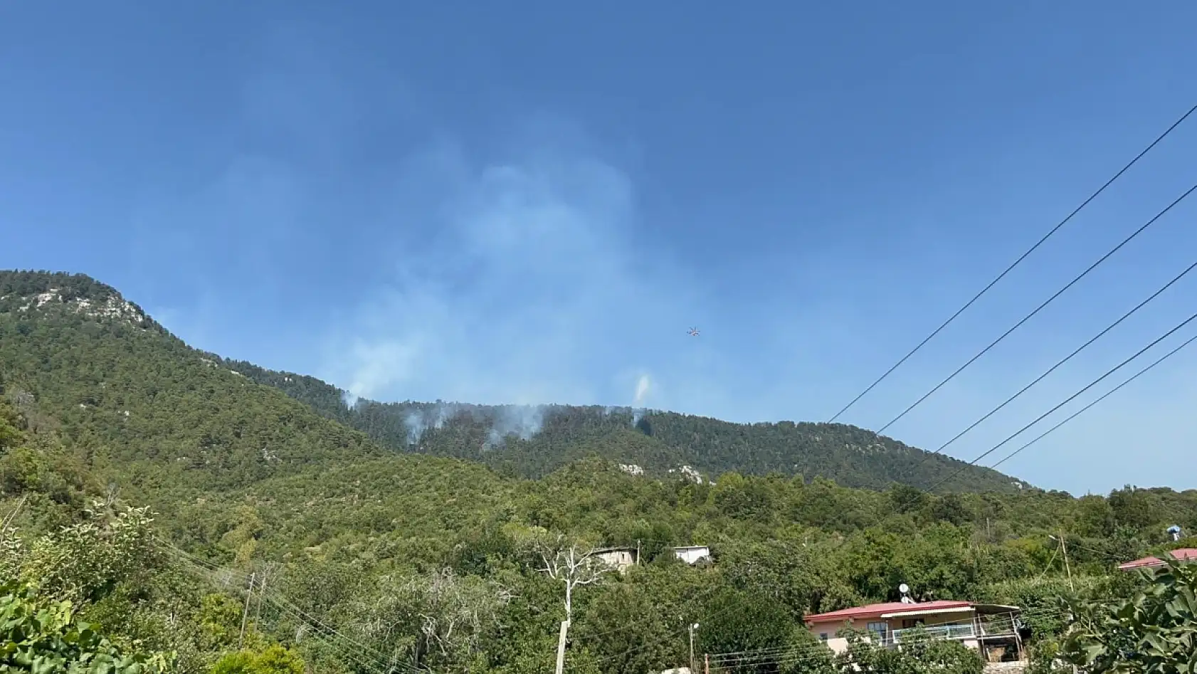 Türkiye'de Kara Gün: Bir Günde 84 Orman Yangını Çıktı