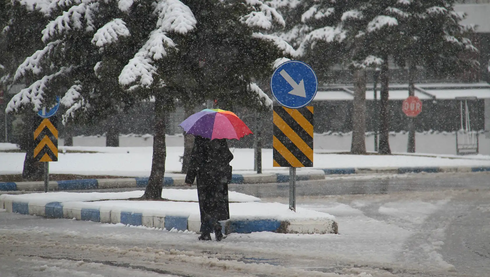 Dağlarda beyaz bereket