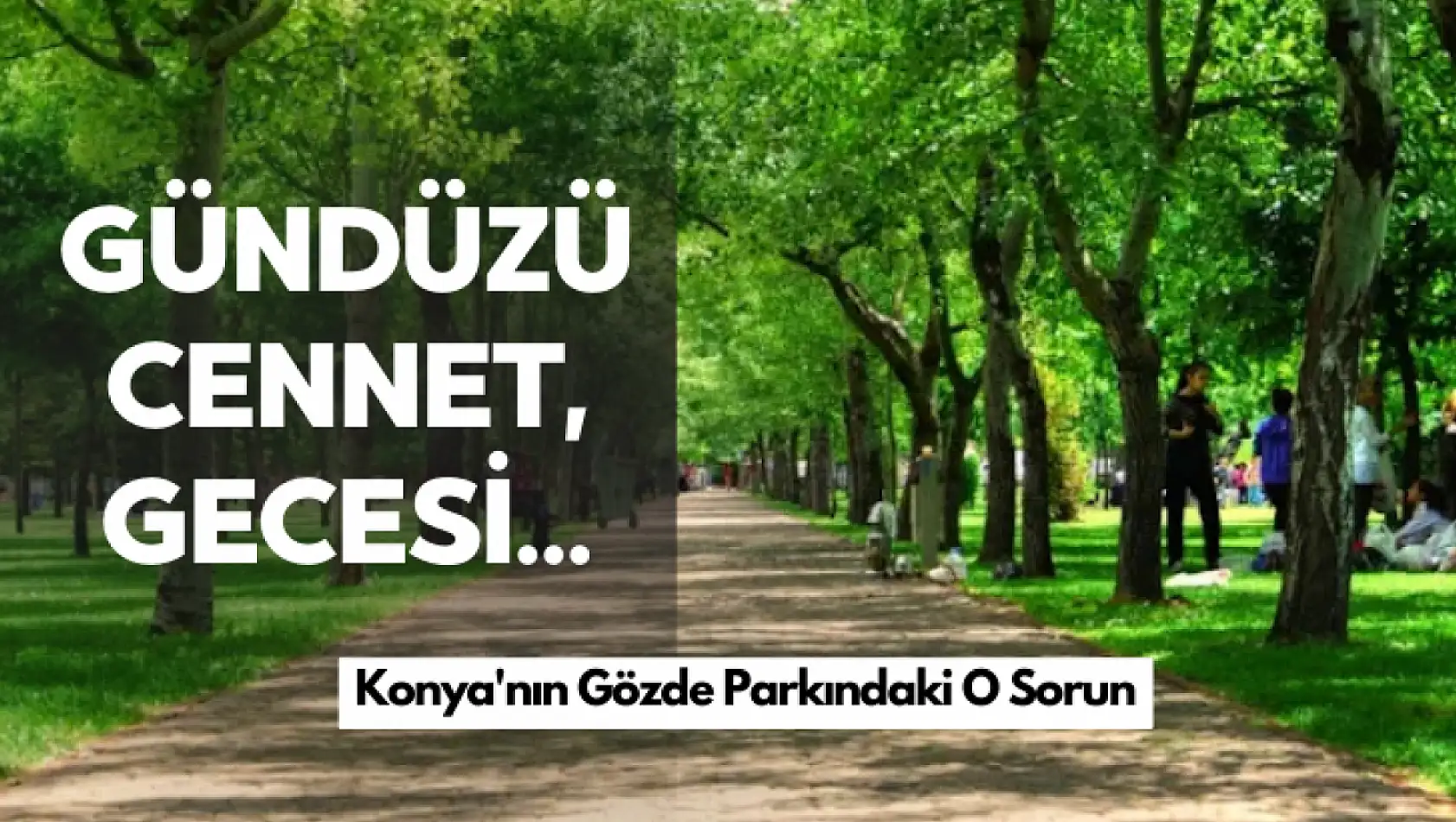 Konya'nın Saklı Cenneti: Kozağaç Parkı'nın Tek Eksiği Var
