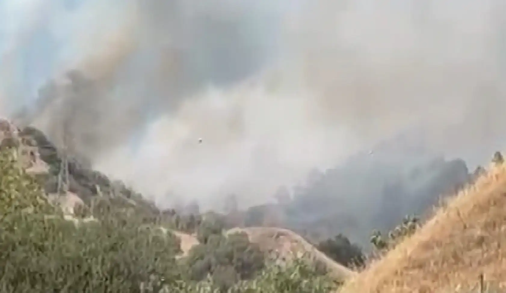 Türkiye'de Kara Gün: Bir Günde 84 Orman Yangını Çıktı