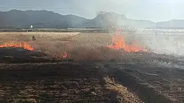 Seydişehir'de ekili arazide yangın çıktı