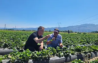 Seydişehir Çileği Tescillendi