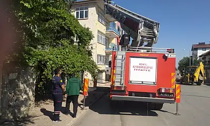 Beyşehir itfaiyesi kedi için seferber oldu