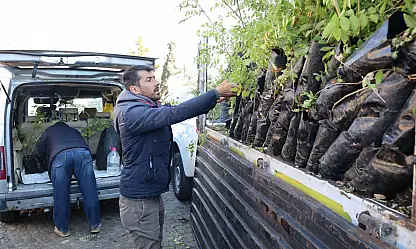 Konya Büyükşehir Belediyesi'nden Çiftçilere Sumak Fidanı Desteği.