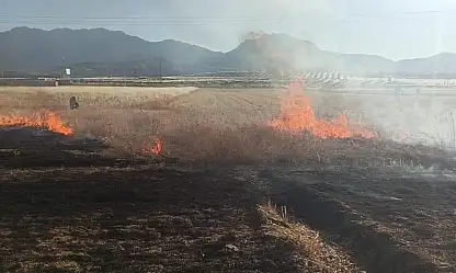 Seydişehir'de ekili arazide yangın çıktı