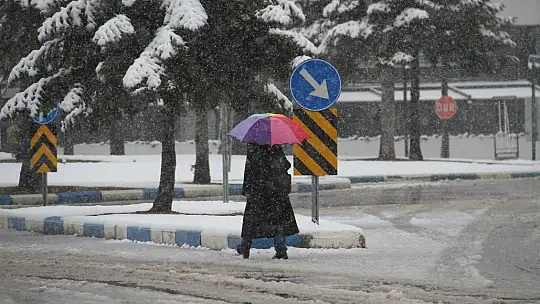 Beyşehir Gölü'nde avlanmaya 'kar' molası