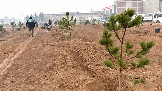 Karatay Belediyesi'nden Ağaç Dikme Etkinliği