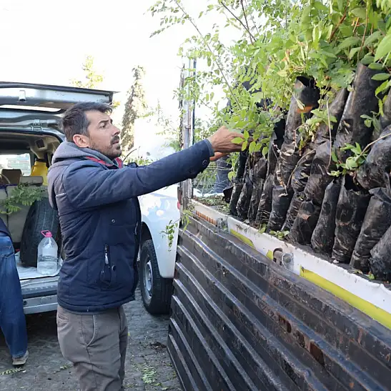 Konya Büyükşehir Belediyesi'nden Çiftçilere Sumak Fidanı Desteği.