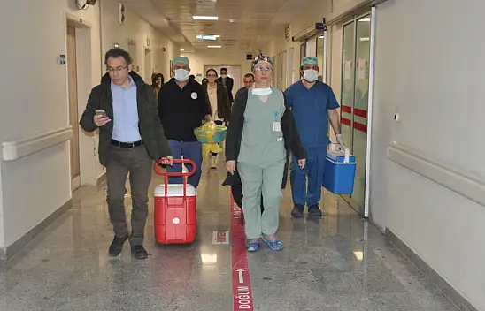 Arife'nin organları 4 kişiye umut oldu