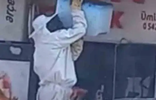 Konya'da arılar paniğe yol açtı