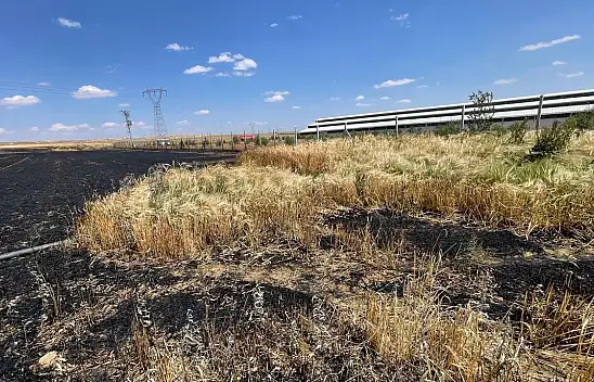 Konya'da korkutan yangın: Buğday tarlası yandı