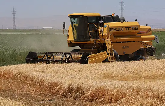 Konya'da kuraklık tarımı vurdu: Ürünlerde rekolte düşüşü bekleniyor!
