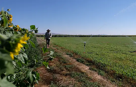 Konya Ovası'nda suya ulaşmak için 450 metre sondaj yapılıyor