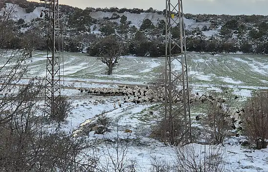 Leylekler Beyşehir'de Kar Sürpriziyle Karşılaştı