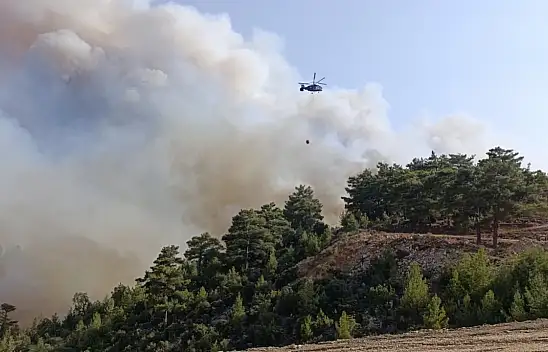 Mersin'deki Dev Orman Yangınına Konya'dan Takviye Ekipler Gönderildi! Mahalleler Boşaltılıyor