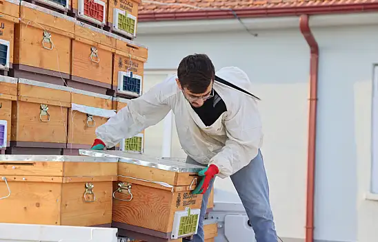 Selçuklu Belediyesi, arıcılıkta yeni bir çağ başlattı: 82 üreticiye 410 kovan desteği!