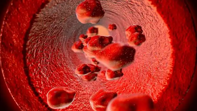 Akdeniz Anemisi (Talasemi) Hakkında Bilmeniz Gerekenler