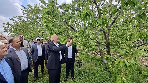 Başkan Bayraktar, zararı yerinde inceledi!