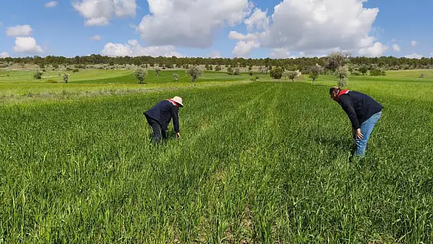 Beyşehir'in tarım alanları yakından takip ediliyor