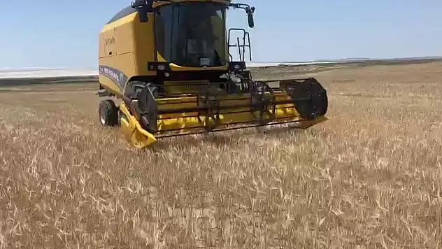 Konya'da hasat erken başladı!