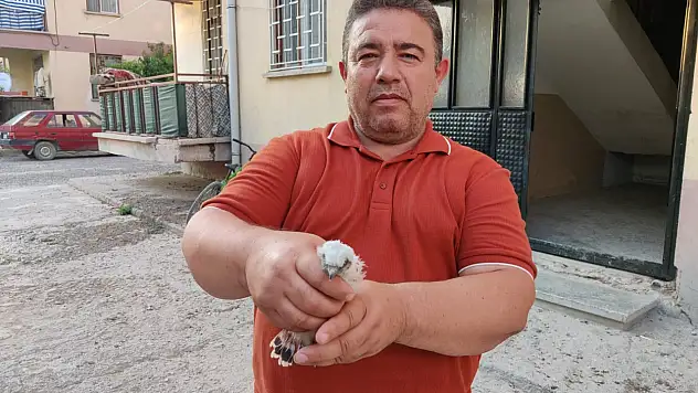 Olayın adresi Konya… Hareketsiz halde bulunan kuşa şefkat eli!