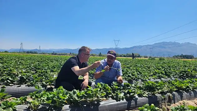 Seydişehir Çileği Tescillendi