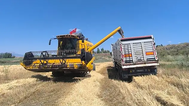 Seydişehir'de arpa hasadı başladı