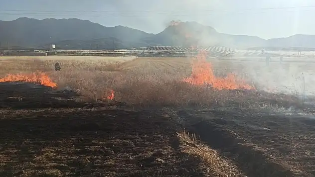 Seydişehir'de ekili arazide yangın çıktı