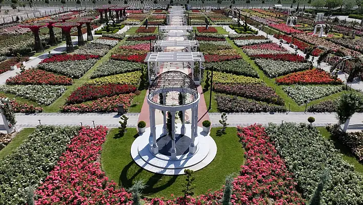 50 Bin Gülle Renk Cümbüşü: Karatay'ın Gül Parkı Açıldı