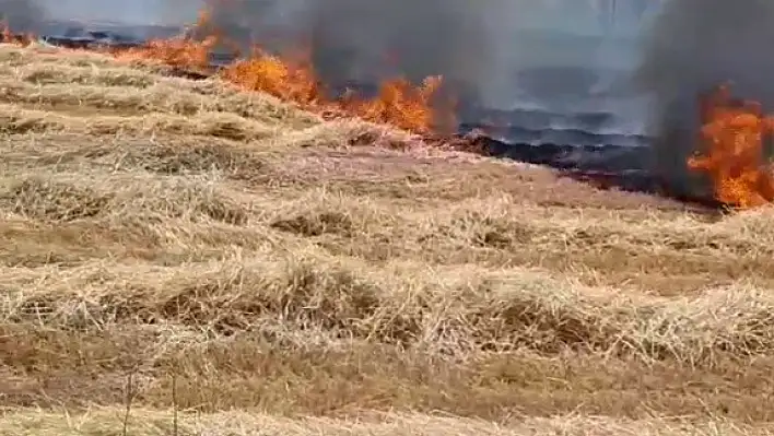 Beyşehir'de anız yangını, evlere sıçramadan söndürüldü