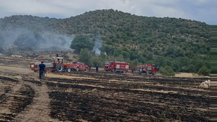 Beyşehir'de ormana sıçrayan anız yangını paniğe neden oldu