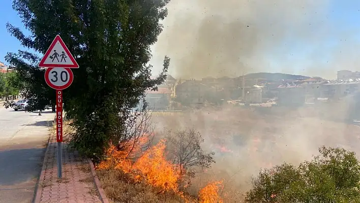 Beyşehir'de otluk alanda çıkan yangın bahçelere sıçramadan söndürüldü
