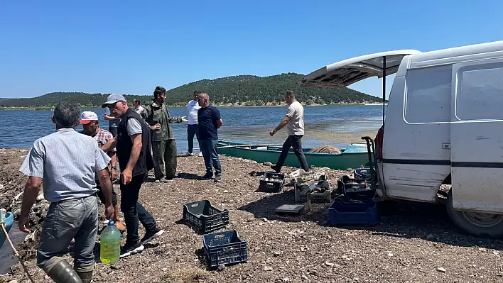 Beyşehir'de yakalanan balık şaşırttı!